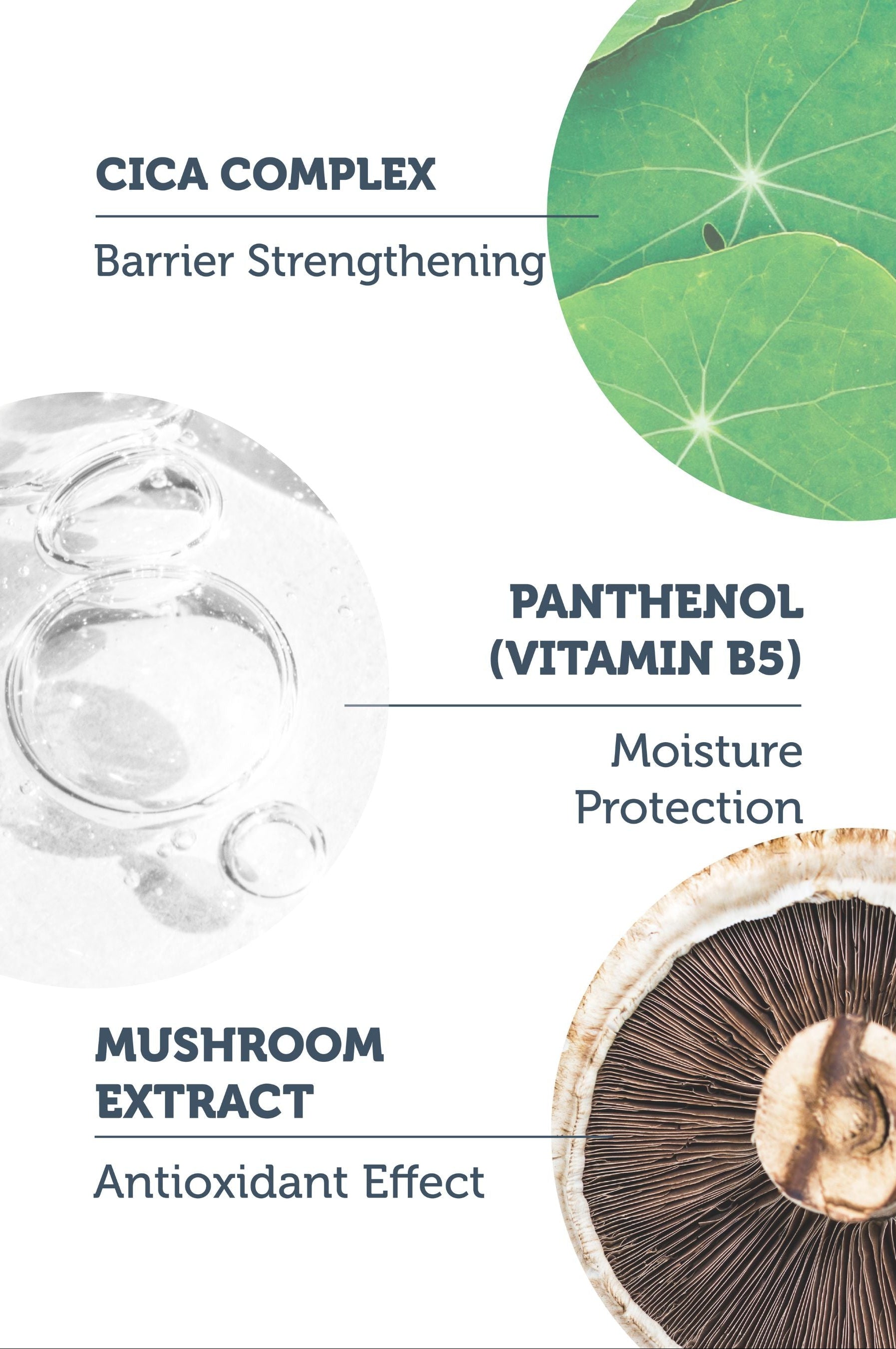 Soothing & Smoothing Cica Serum