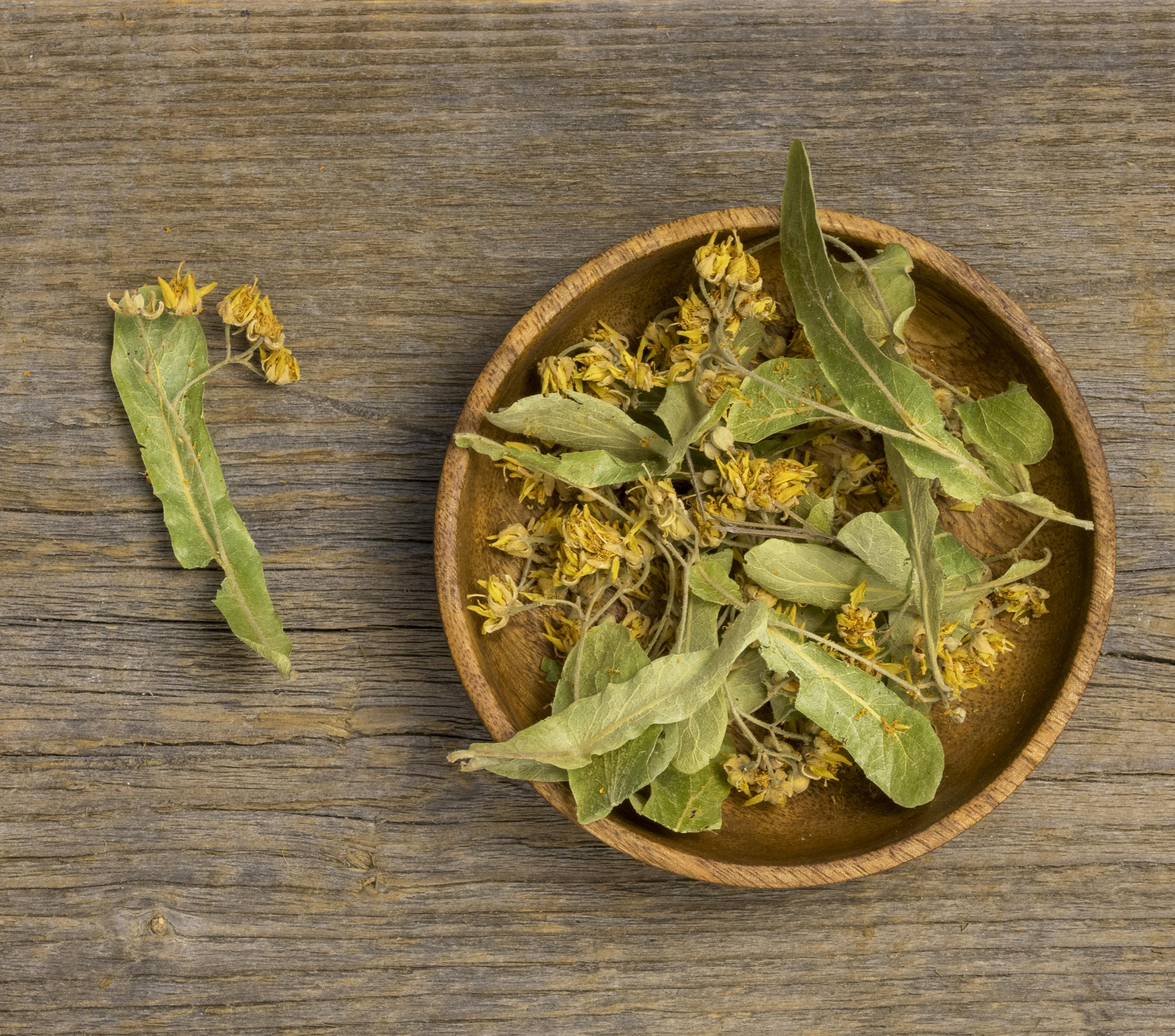 Witch Hazel (Hamamelis Virginiana Extract)